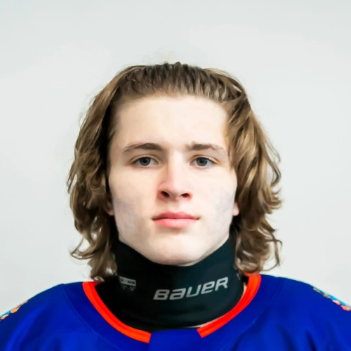 Voronich Demyan Filippovich