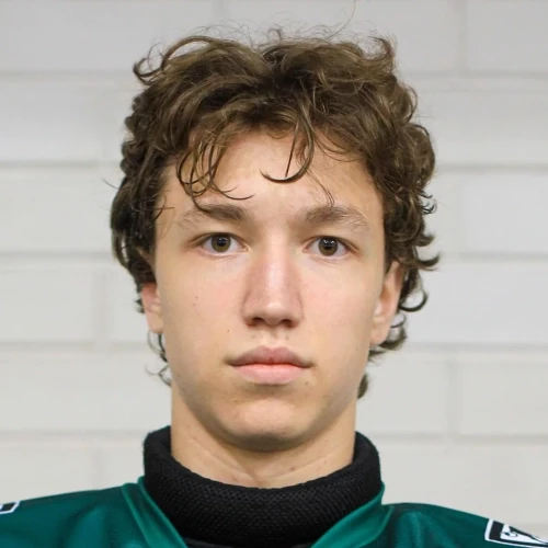 Polovnikov Nikita Ruslanovich