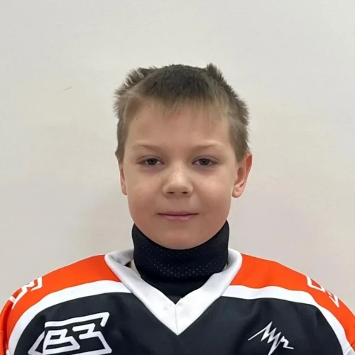Aleshin Dmitrii Andreevich