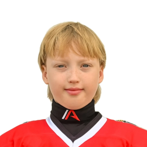 Veselov Andrei Romanovich