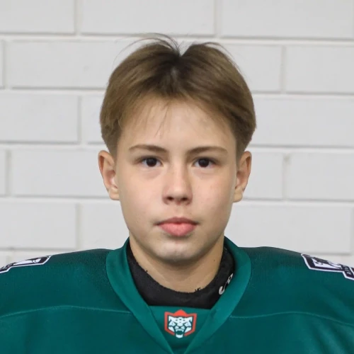 Loginov Dmitrii Vladislavovich