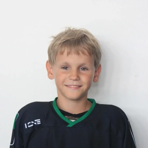 Tolstikov Ilya Olegovich