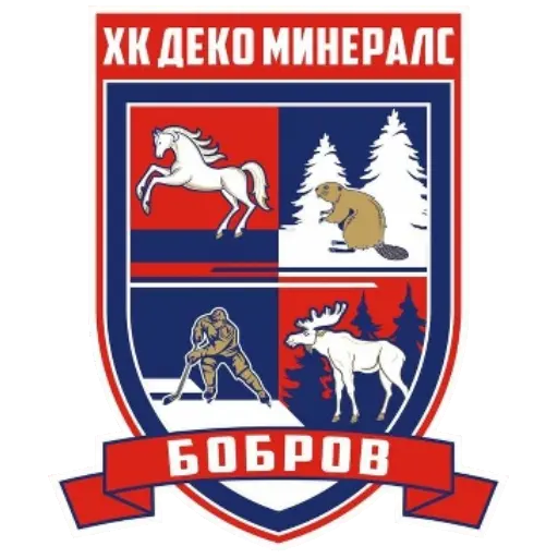 HC Bobrov