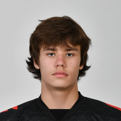Rogovskii Robert Dmitrievich