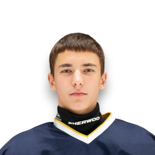 Vorobev Danil Igorevich