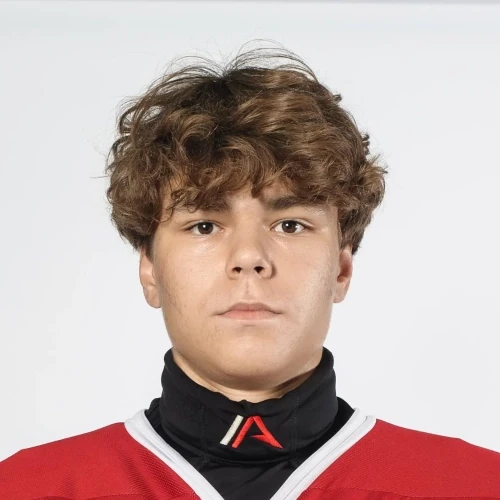 Lapko Nikolai Sergeevich