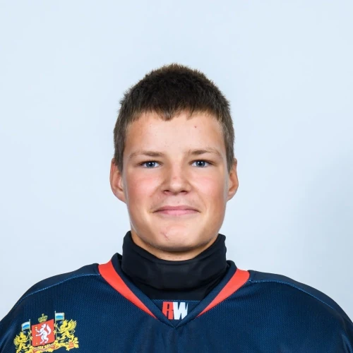 Alfer Daniil Vladimirovich