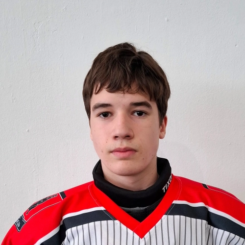 Zhulin Matvei Andreevich