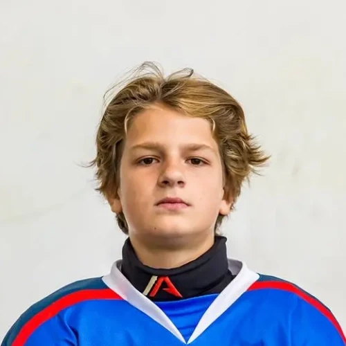 Voronov Aleksandr Vasilevich
