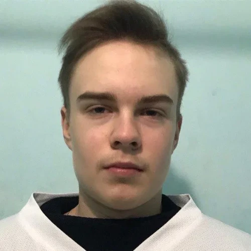 Loginov Maksim Evgenevich