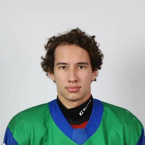 Shamsutdinov Bogdan Ilmirovich