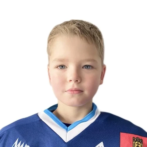 Bogomolov Vladimir