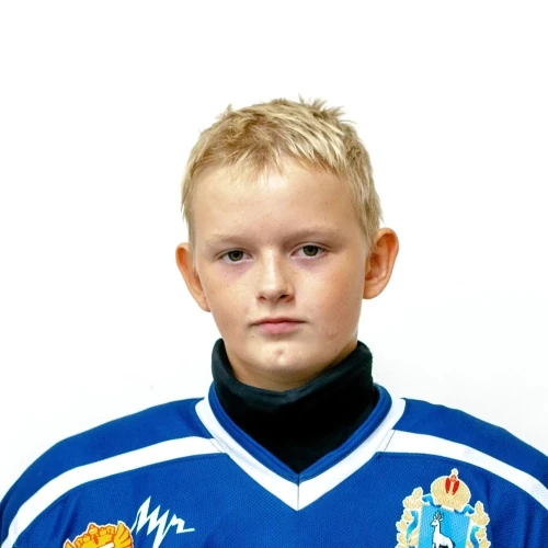 Moiseev Egor Igorevich