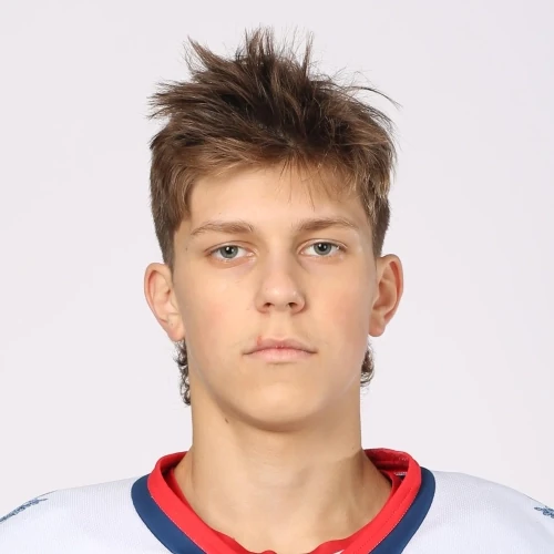 Konischev Bogdan Alekseevich