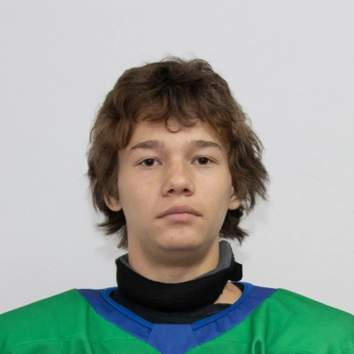 Vagapov Amir Rinatovich