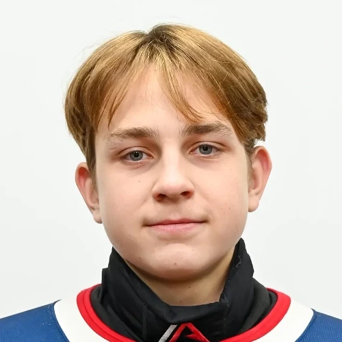Miheichev Ilya Yurevich