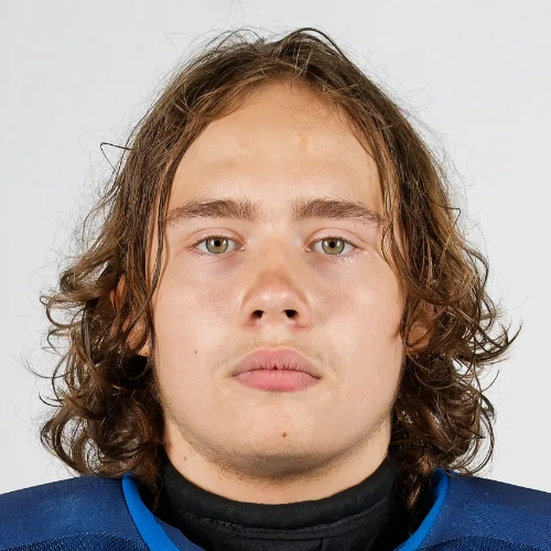 Zhuravlev Ilya Nikolaevich