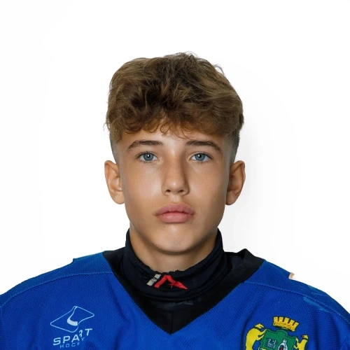 Medyantsev Dmitrii Dmitrievich