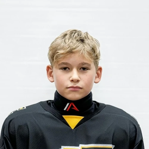 Alimov Artem Alekseevich