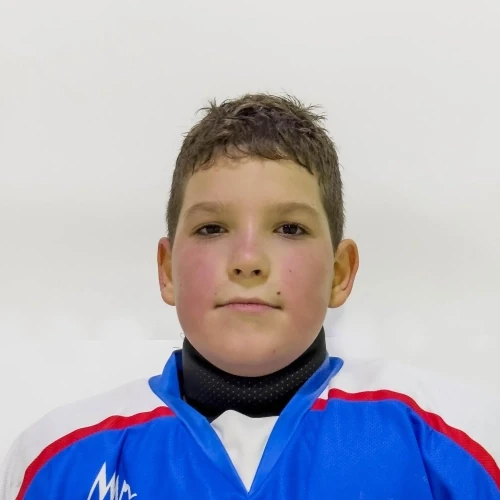 Stepanov David Romanovich