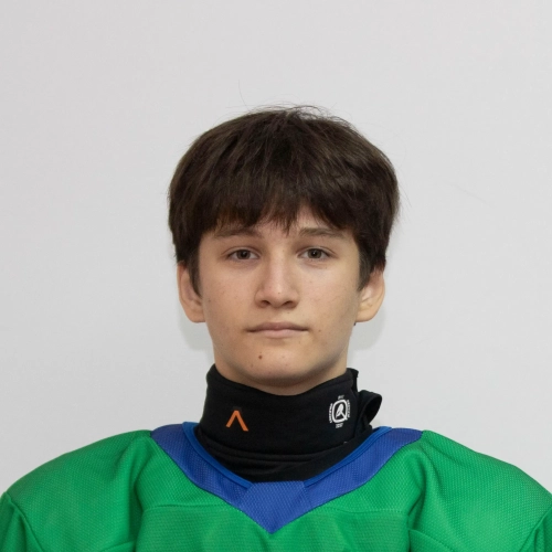 Ismagilov Raul Ruslanovich