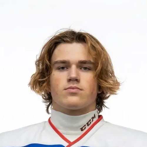 Ilichev Artem Denisovich