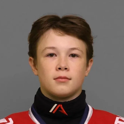 Melehin Arsenii Evgenevich
