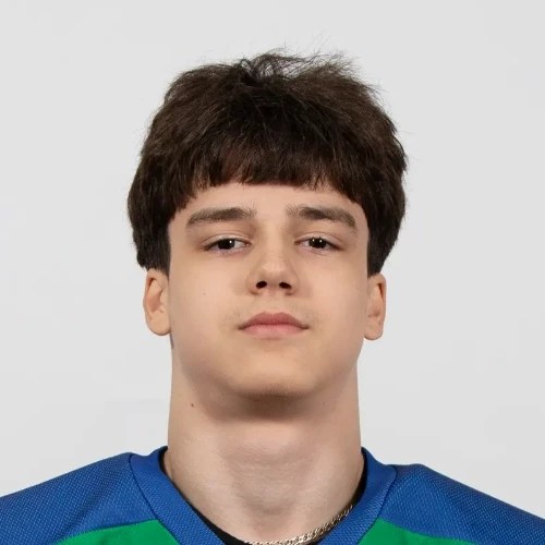 Gafarov David Fanurovich