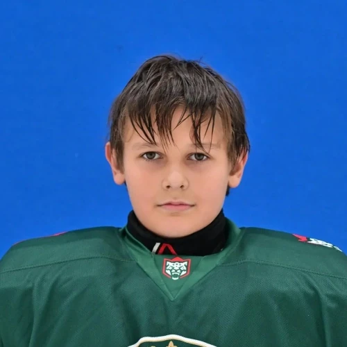 Krasnikov Egor Olegovich