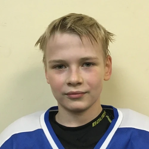 Prosuzhih Ilya Aleksandrovich