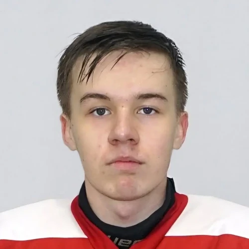Krynin Aleksei Olegovich