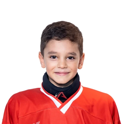 Vardanyan Ashot Emilevich