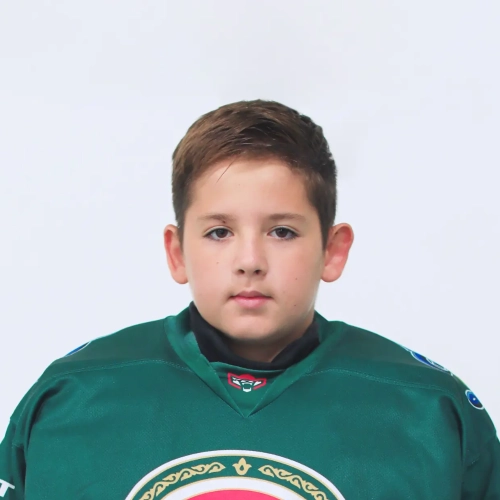 Valiev Erik Timurovich