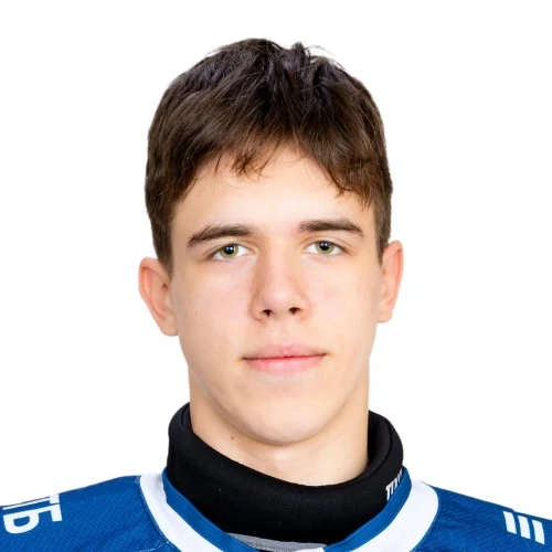 Solomentsev Nikita Aleksandrovich