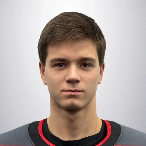 Kuzmichev Nikita Vadimovich