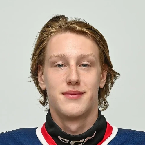 Haritonov Ilya Pavlovich