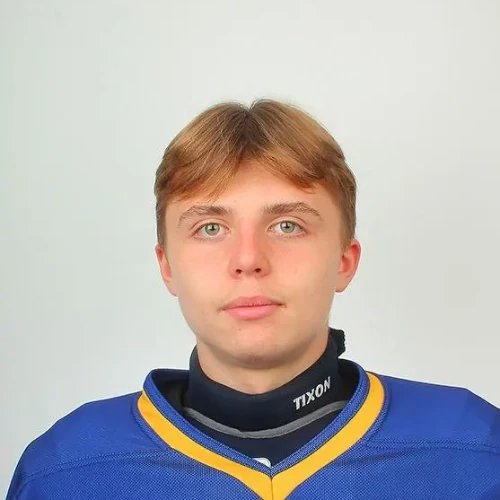 Vlasov Arsenii Valerevich