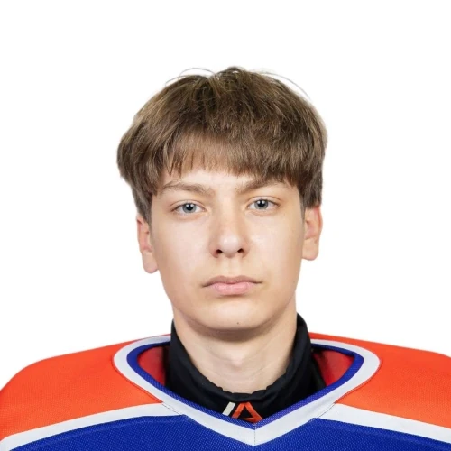 Kostromin Egor Yurevich