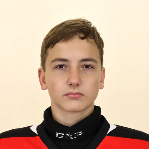 Bogdanovich Arsenii Pavlovich