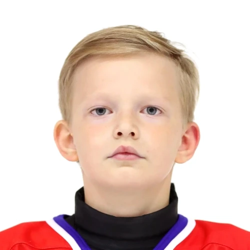 Мокин Алексей Ильич