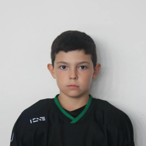 Kamenskii Mihail Andreevich