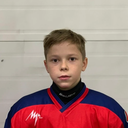 Pozdnyakov Nikita Sergeevich