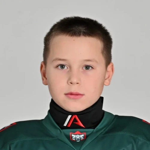 Sergunin Sergei Alekseevich