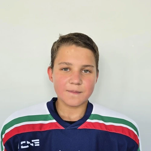 Rogozhnikov Roman Evgenevich