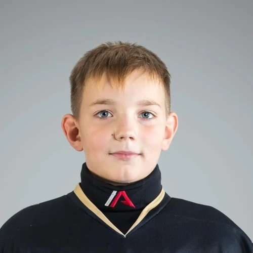 Gromov Fedor Ilich