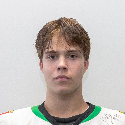 Suntsov Artem Sergeevich