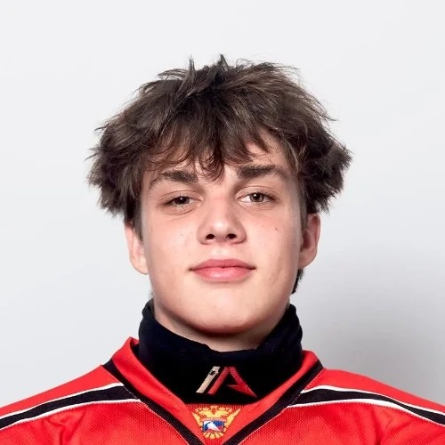 Mozlyakov Denis Vladislavovich