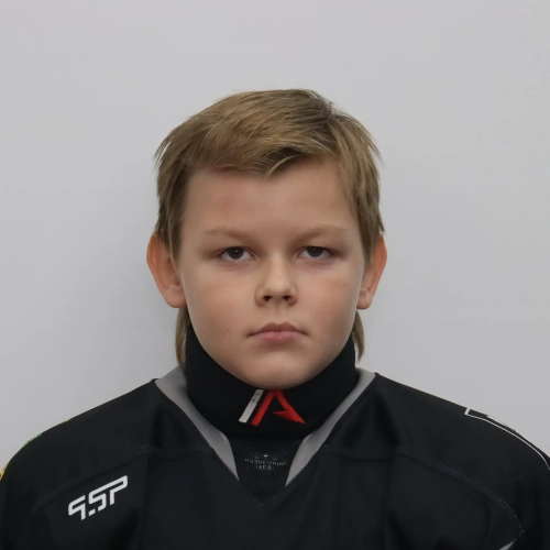 Borzenkov Dmitrii Alekseevich