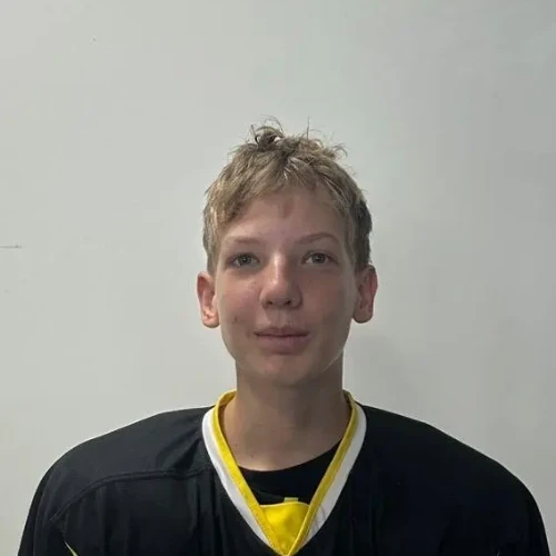 Shipulin Egor Andreevich