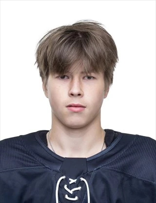 Nikolaev Mihail Igorevich
